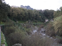 cantara gurne23122011 087
